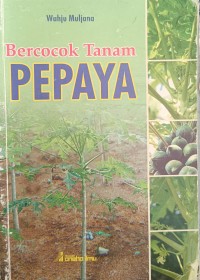 Bercocok Tanam PEPAYA