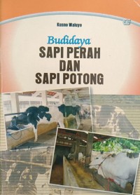 Budidaya SAPI PERAH DAN SAPI POTONG