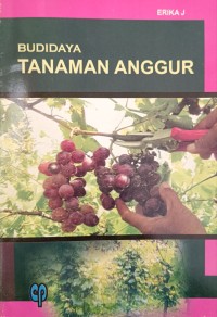 BUDIDAYA TANAMAN ANGGUR