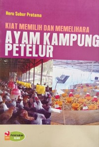 KIAT MEMILIH DAN MEMELIHARA AYAM KAMPUNG PETELUR