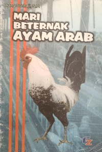 MARI BETERNAK AYAM ARAB
