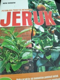 Petunjuk Praktis Menanam Jeruk