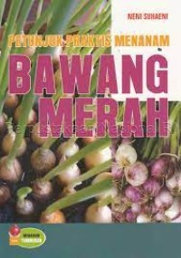 Petunjuk Praktis Menanam Bawang Merah