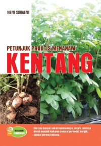 Petunjuk Praktis Menanam Kentang