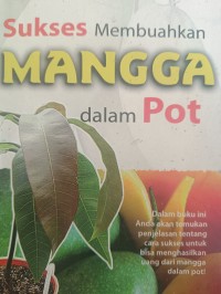 Sukses Membuahkan MANGGA dalam Pot