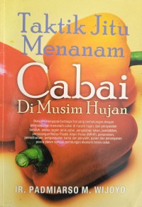 Taktik Jitu Menanam Cabai Di Musim Hujan