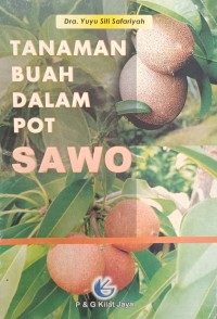 TANAMAN BUAH DALAM POT SAWO