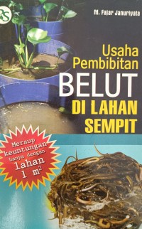 Usaha Pembibitan BELUT DI LAHAN SEMPIT